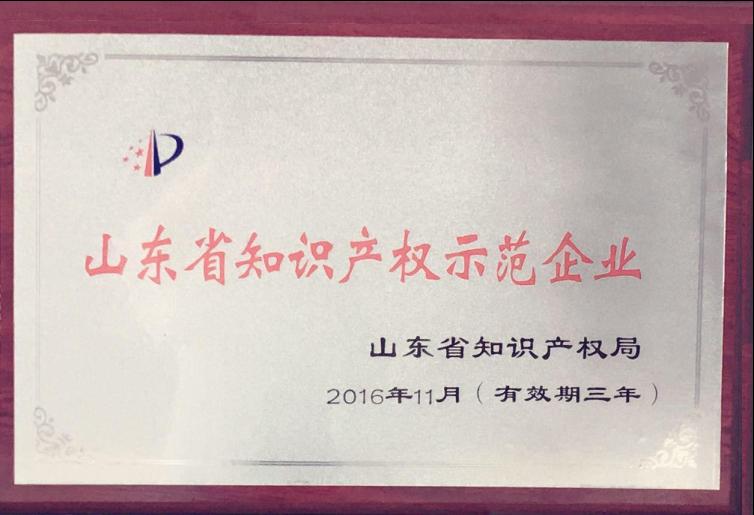 我公司被評為“山東省知識產權示范企業”